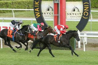Mongolian Marshal produced his biggest win to date in the Group 3 Skycity Hamilton Waikato Cup. Photo: Trish Dunell